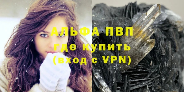 дживик Шадринск