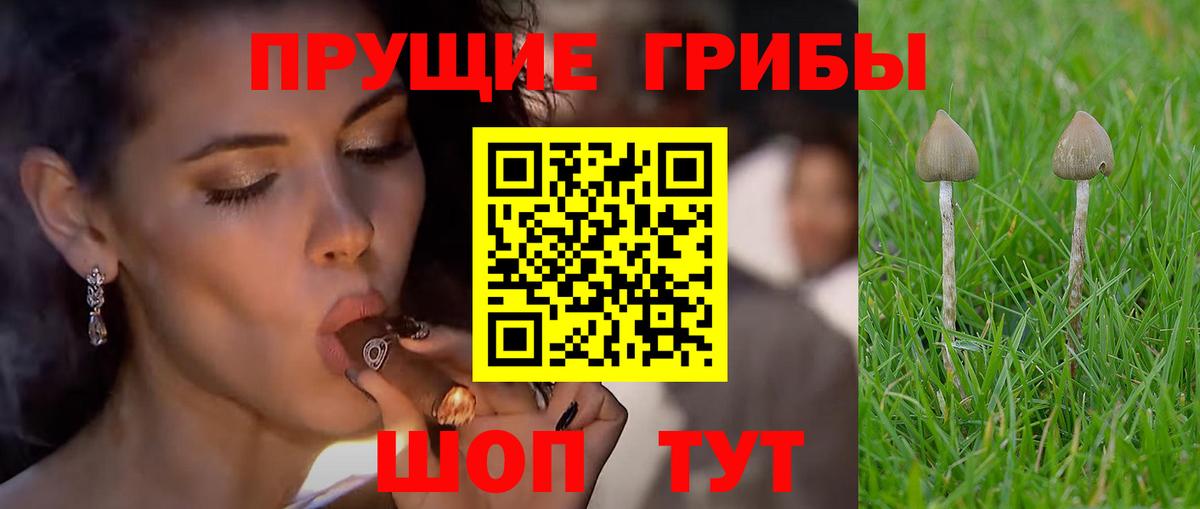 Галлюциногенные грибы мицелий Красноперекопск